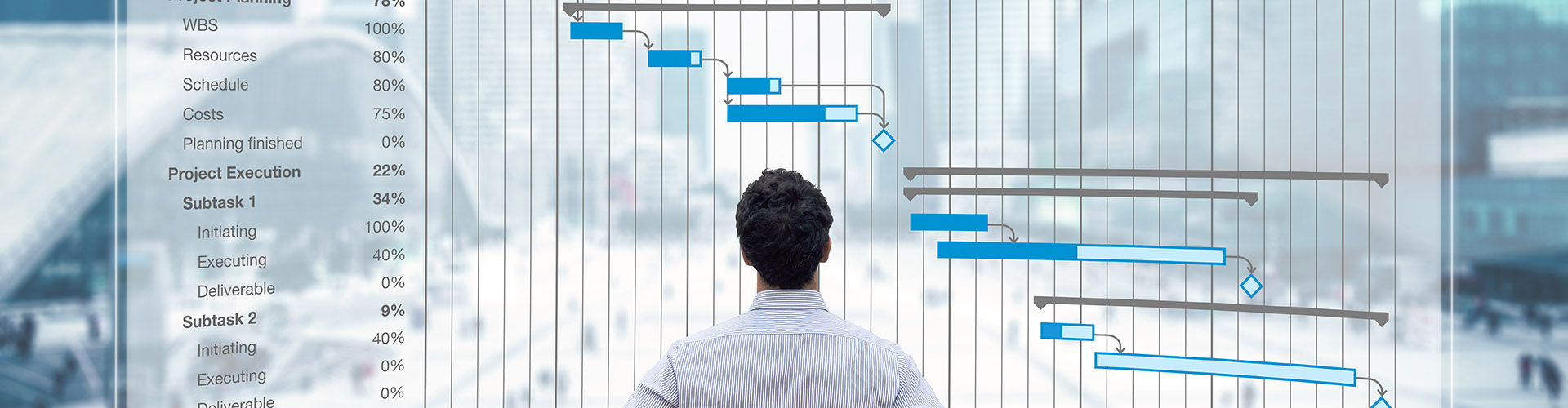 Portfolio and Program Management Support Services (P3) - Addx Corporation